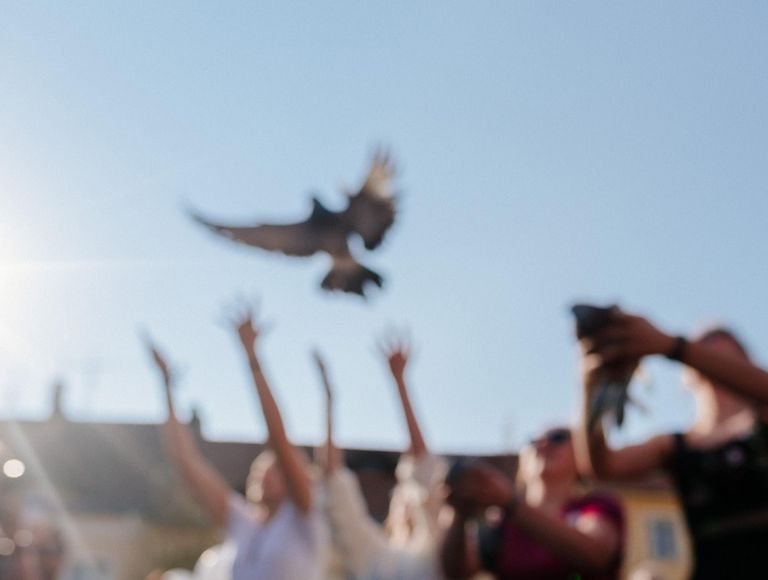 Foto des Ostritzer Friedensfestes 2019. Eine Menschengruppe lässt unter einem strahlend blauen Himmel eine Taube fliegen.
